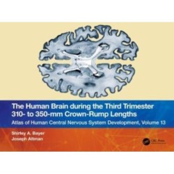 The Human Brain during the Third Trimester 310– to 350–mm Crown-Rump Lengths: Atlas of Central Nervous System Development, Volume 13