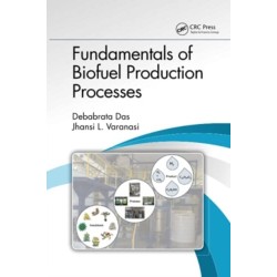 Fundamentals of Biofuel Production Processes