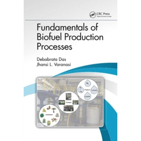 Fundamentals of Biofuel Production Processes