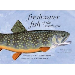 Freshwater Fish of the Northeast
