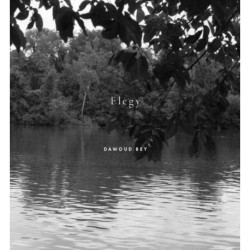 Dawoud Bey: Elegy
