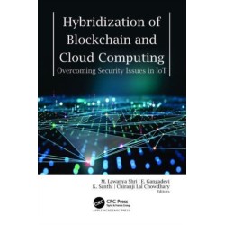 Hybridization of Blockchain and Cloud Computing: Overcoming Security Issues in IoT