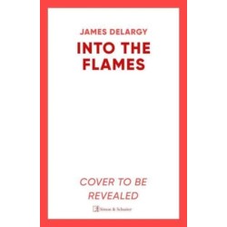 Into the Flames: The scorching new summer thriller