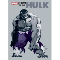 Jeph Loeb & Tim Sale: Hulk Gallery Edition