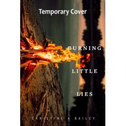 Burning Little Lies