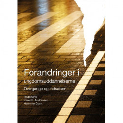 Forandringer i ungdomsuddannelserne: overgange og indsatser