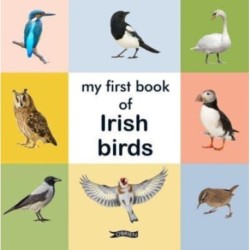 My First Book of Irish Birds