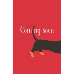 Sausage Dog Santa: Book 1