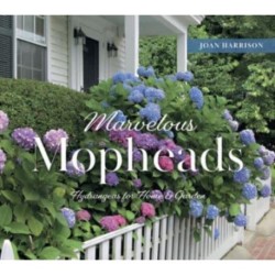 Marvelous Mopheads: Hydrangeas for Home & Garden