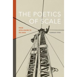 The Poetics of Scale: From Apollinaire to Big Data