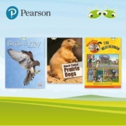 Bug Club Independent White Pack 2023 (17 books)