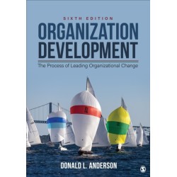 Organization Development: The Process of Leading Organizational Change