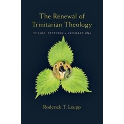 The Renewal of Trinitarian Theology - Themes, Patterns & Explorations