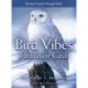 Bird Vibes Meditation Cards: Spiritual Insight Through Birds