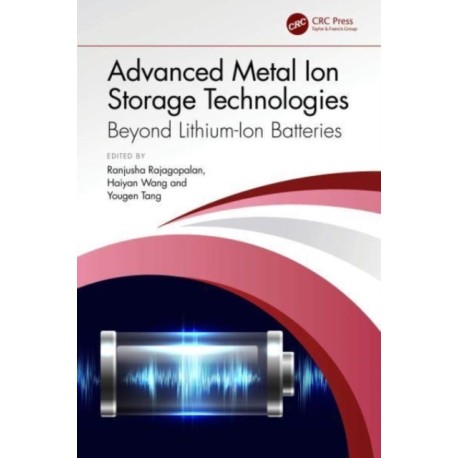 Advanced Metal Ion Storage Technologies: Beyond Lithium-Ion Batteries