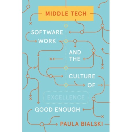 Middle Tech: Software Work and the Culture of Good Enough