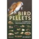 Bird Pellets: A Complete Photographic Guide