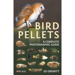 Bird Pellets: A Complete Photographic Guide