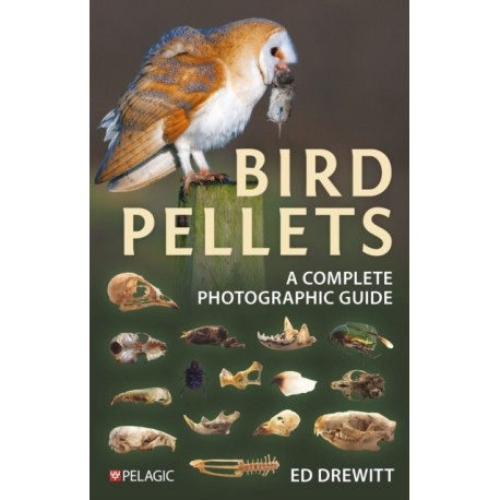 Bird Pellets: A Complete Photographic Guide