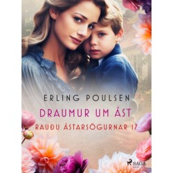 Draumur um ást (Rauðu ástarsögurnar 17)