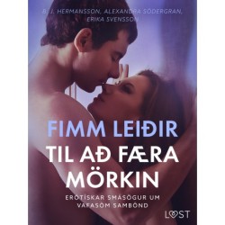 Fimm leiðir til að færa mörkin – Erótískar smásögur um vafasöm sambönd