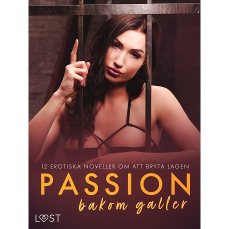 Passion bakom galler: 12 erotiska noveller om att bryta lagen