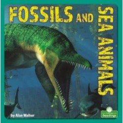 Fossils and Sea Animals