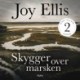 Skygger over marsken
