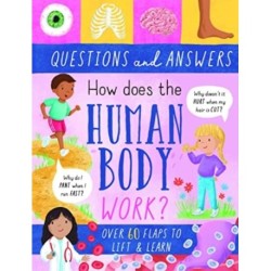 How Does the Human Body Work?
