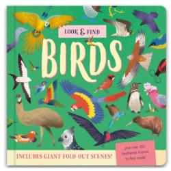 Look & Find: Insects and Minibeasts