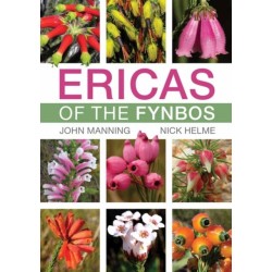 Ericas of the Fynbos
