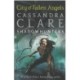 City of Fallen Angels