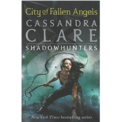 City of Fallen Angels