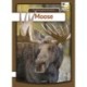 Moose