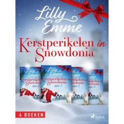 Kerstperikelen in Snowdonia