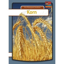 Korn