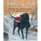 Ellie's Long Walk: The True Story of Two Friends on the Appalachian Trail