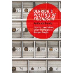 Derrida's Politics of Friendship: Amity and Enmity