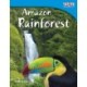 Amazon Rainforest