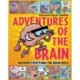 Adventures of the Brain: What the brain does and how it works