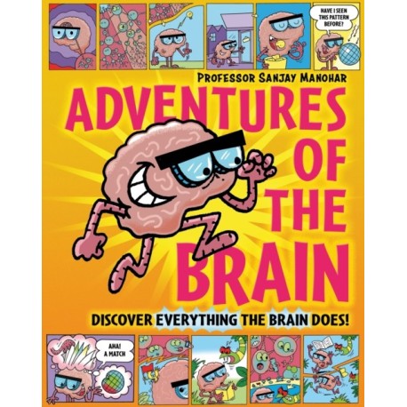 Adventures of the Brain: What the brain does and how it works