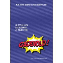 Gadevold: En sociologisk kortlægning af vold i byen