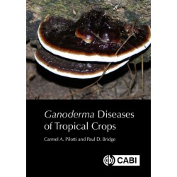 Ganoderma Diseases of Tropical Crops