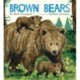 Brown Bears