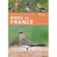Birds of France