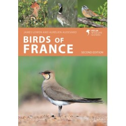Birds of France