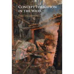 Concept Formation in the Wild