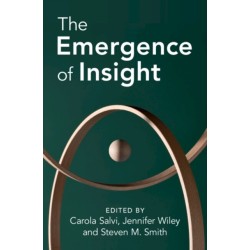 The Emergence of Insight