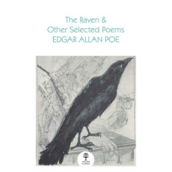 The Raven and Other Selected Poems