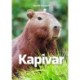 Kapivar